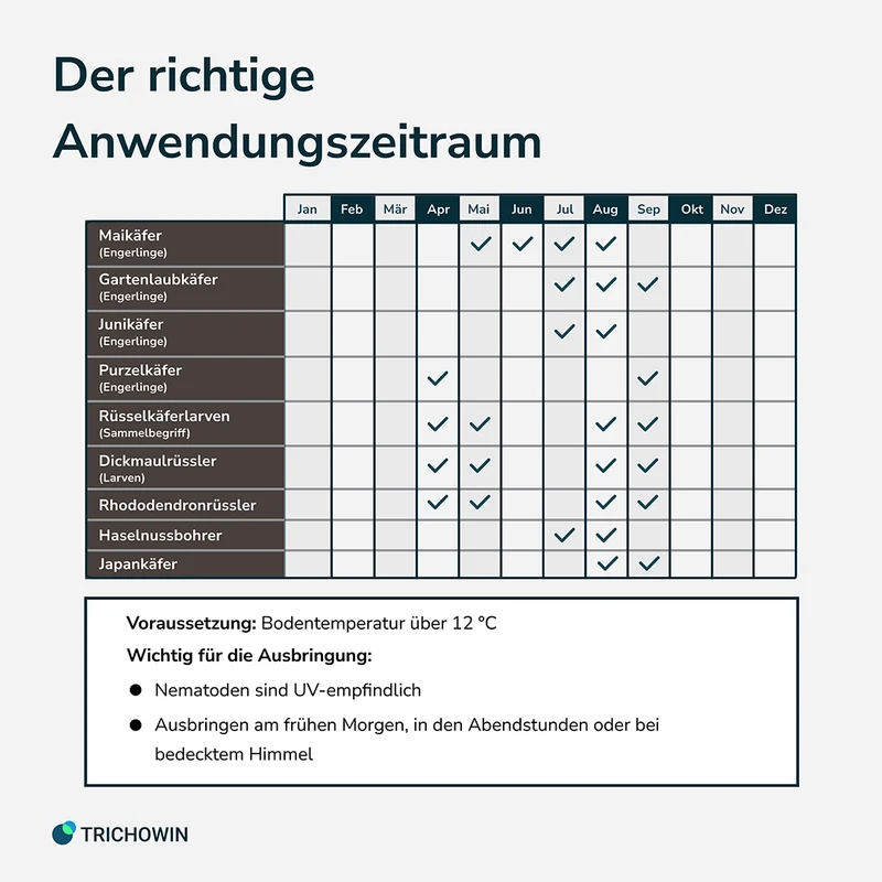 HB-Nematoden gegen Dickmaulrüssler und Engerlinge