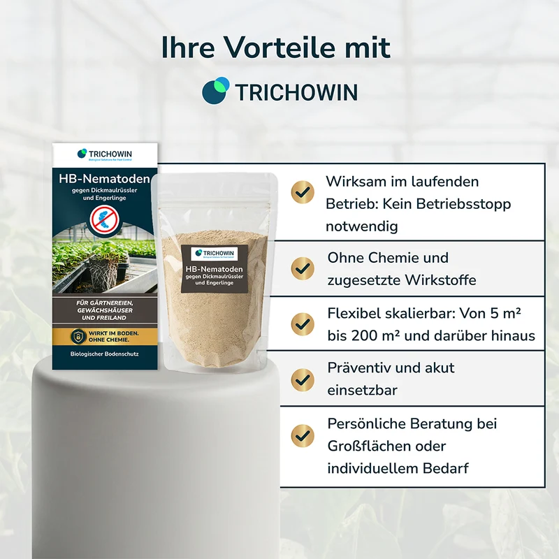 HB-Nematoden gegen Dickmaulrüssler und Engerlinge
