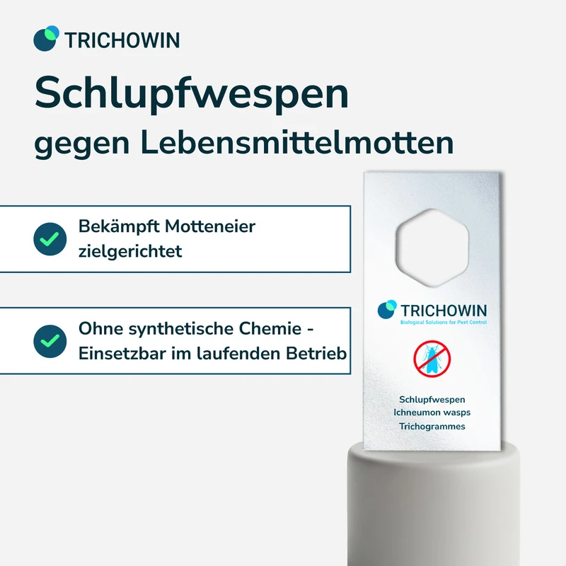 Schlupfwespen gegen Lebensmittelmotten