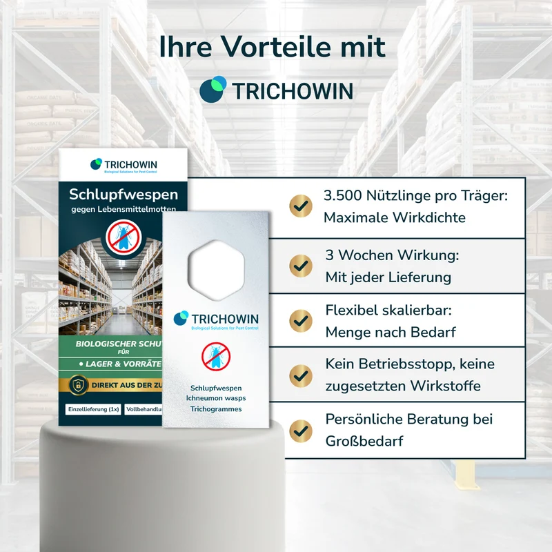 Schlupfwespen gegen Lebensmittelmotten
