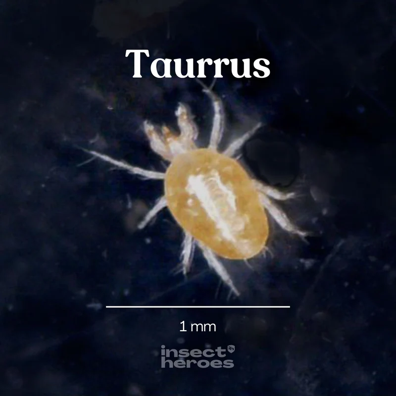 Taurrus - gegen Schlangenmilbe