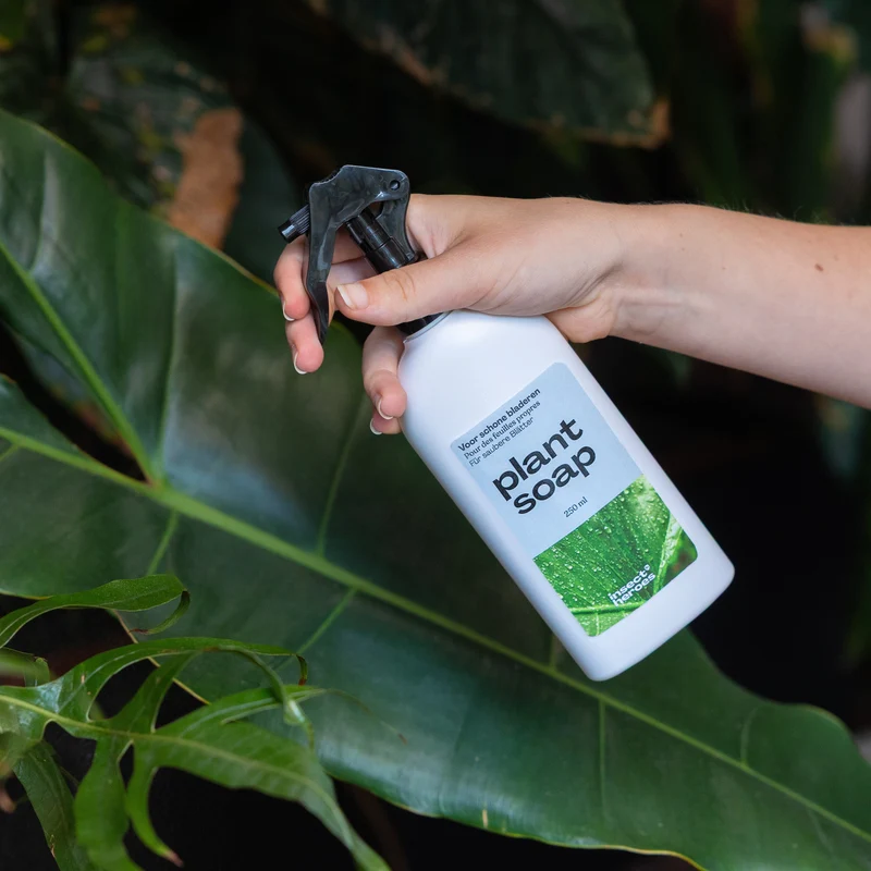 Plant Soap