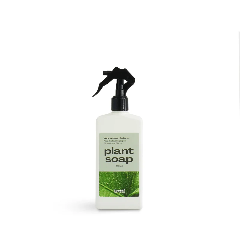 Plant Soap