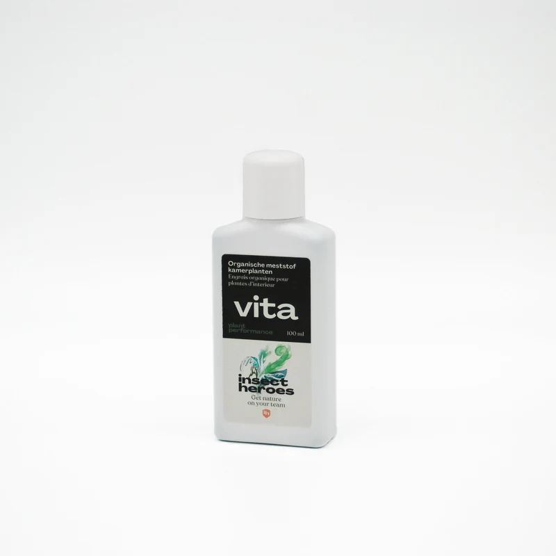 Vita Zimmerpflanzen
