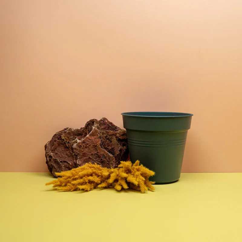 ANZUCHTTOPF - ELHO GREEN BASIC LAUBGRÜN