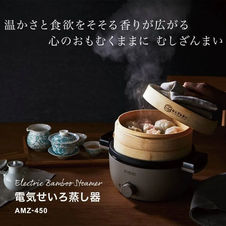 APIX Electric Seiro Steamer AMZ-450 steam cooker 100v