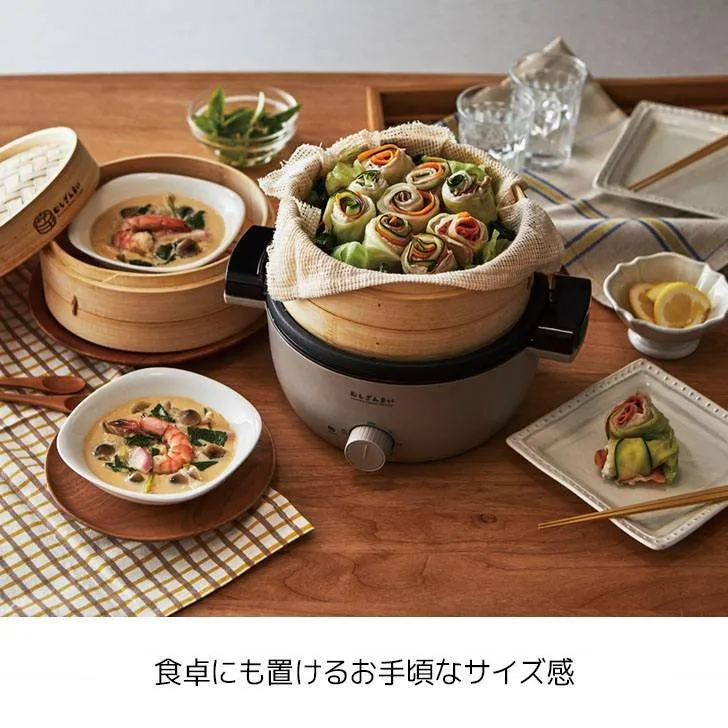 APIX Electric Seiro Steamer AMZ-450 steam cooker 100v