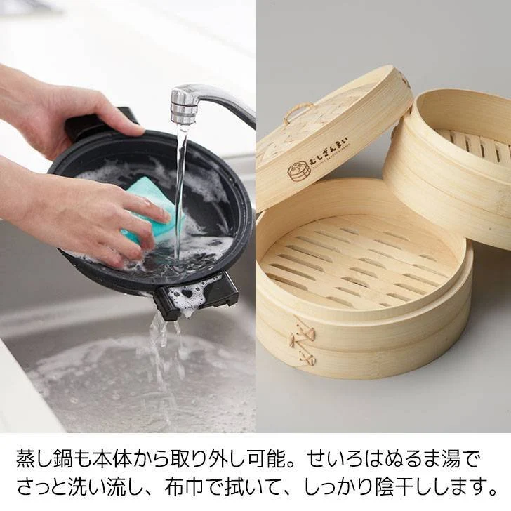 APIX Electric Seiro Steamer AMZ-450 steam cooker 100v