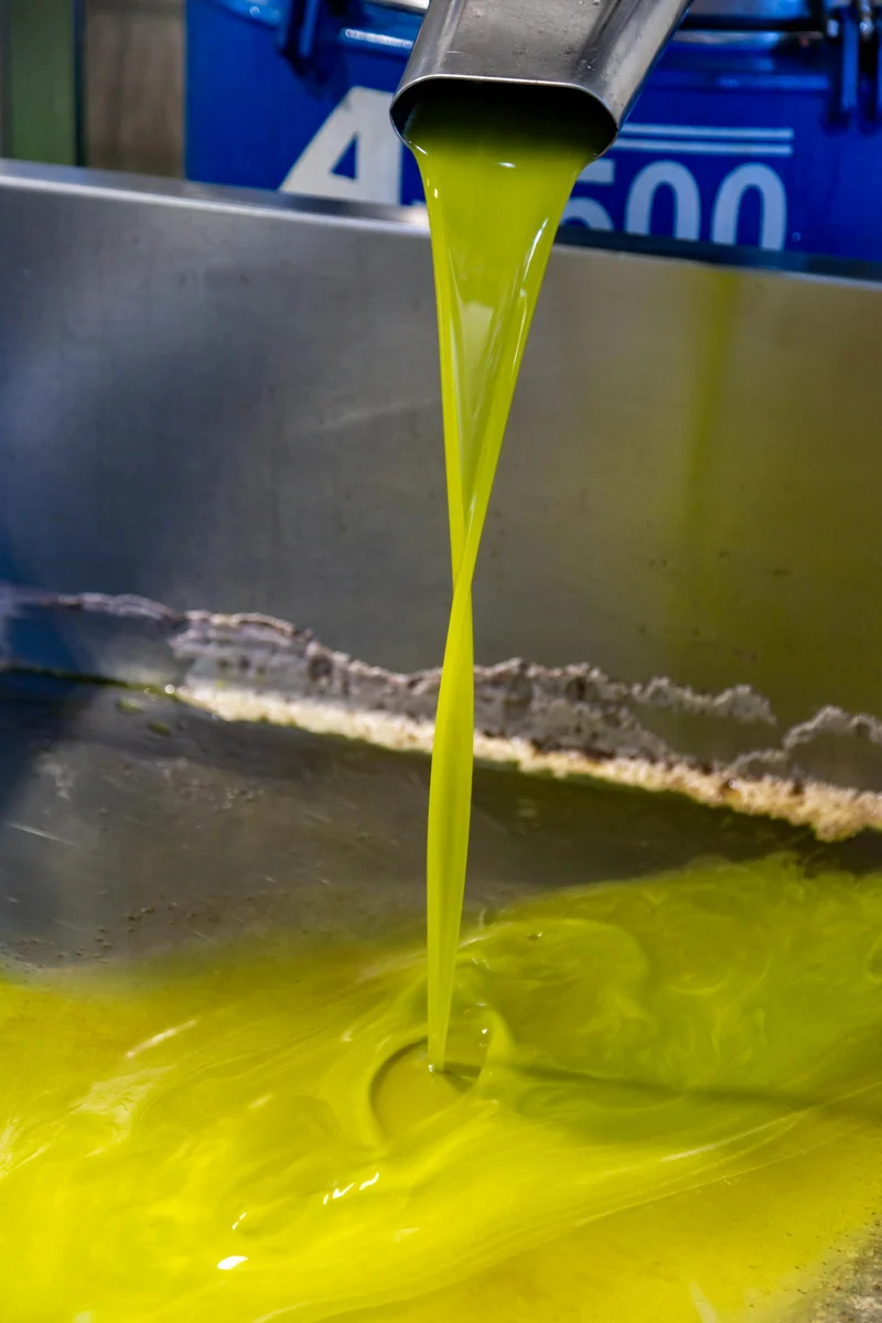 Extra virgin olive oil