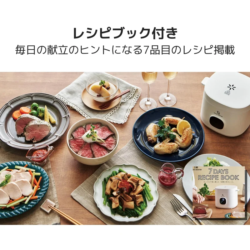 APIX Slow Meister Sous Vide ALC-750 ※100V