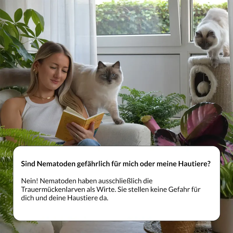 Trauermücken-Bekämpfungs-Set: 2x1 Mio. Nematoden