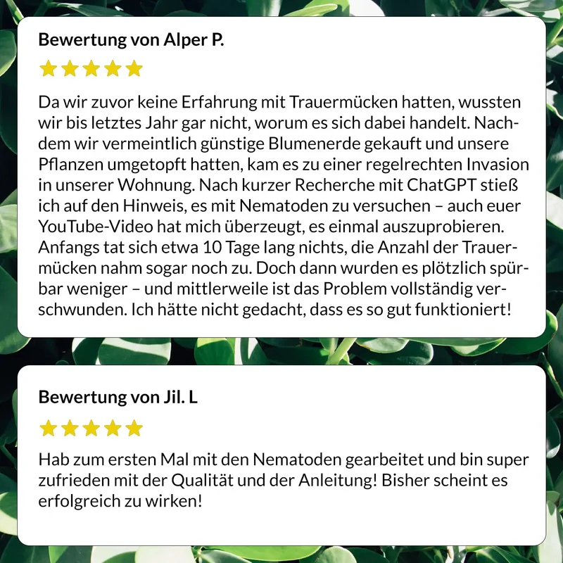 Trauermücken-Bekämpfungs-Set: 2x1 Mio. Nematoden