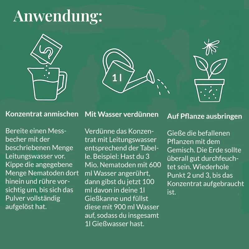 Trauermücken-Bekämpfungs-Set: 2x1 Mio. Nematoden