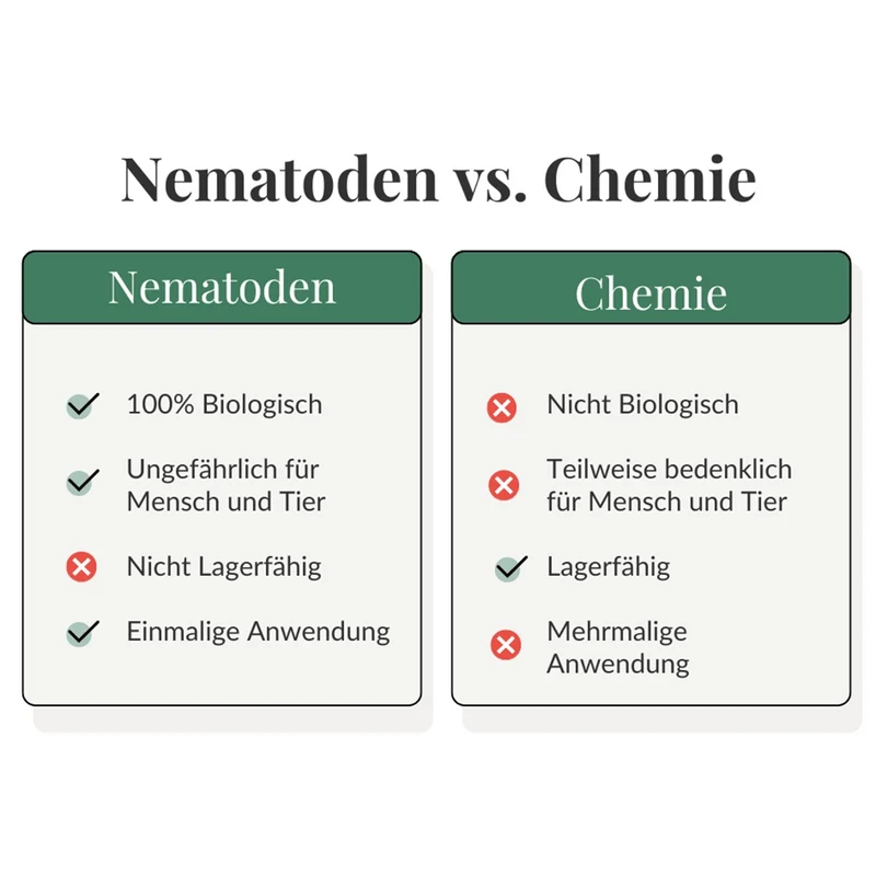 Trauermücken-Bekämpfungs-Set: 2x1 Mio. Nematoden