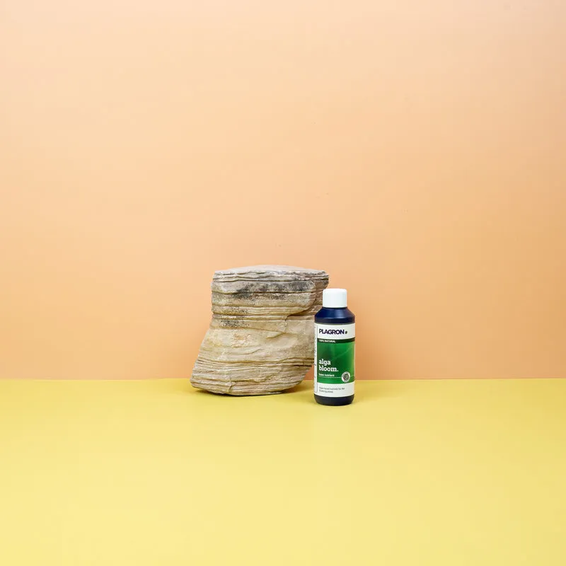 DÜNGER - PLAGRON ALGA BLOOM