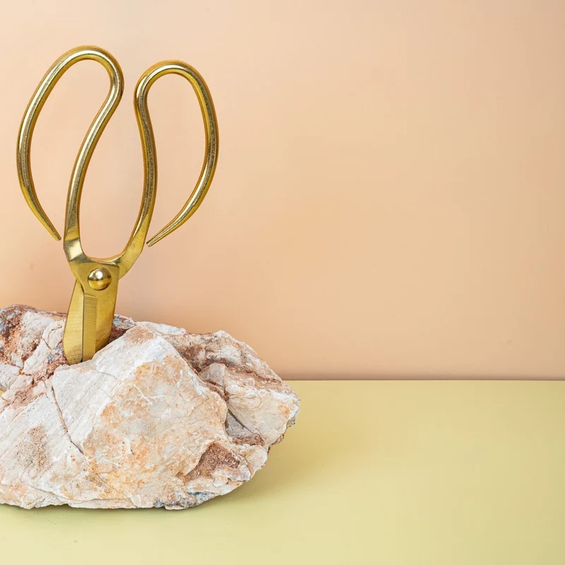 METALLSCHERE RETRO GOLD - BOTANG