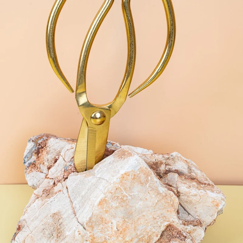 METALLSCHERE RETRO GOLD - BOTANG