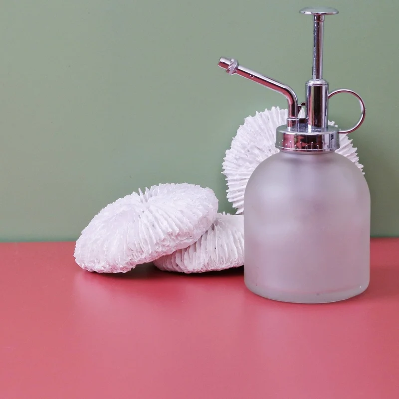 SPRÜHFLASCHE BLATO