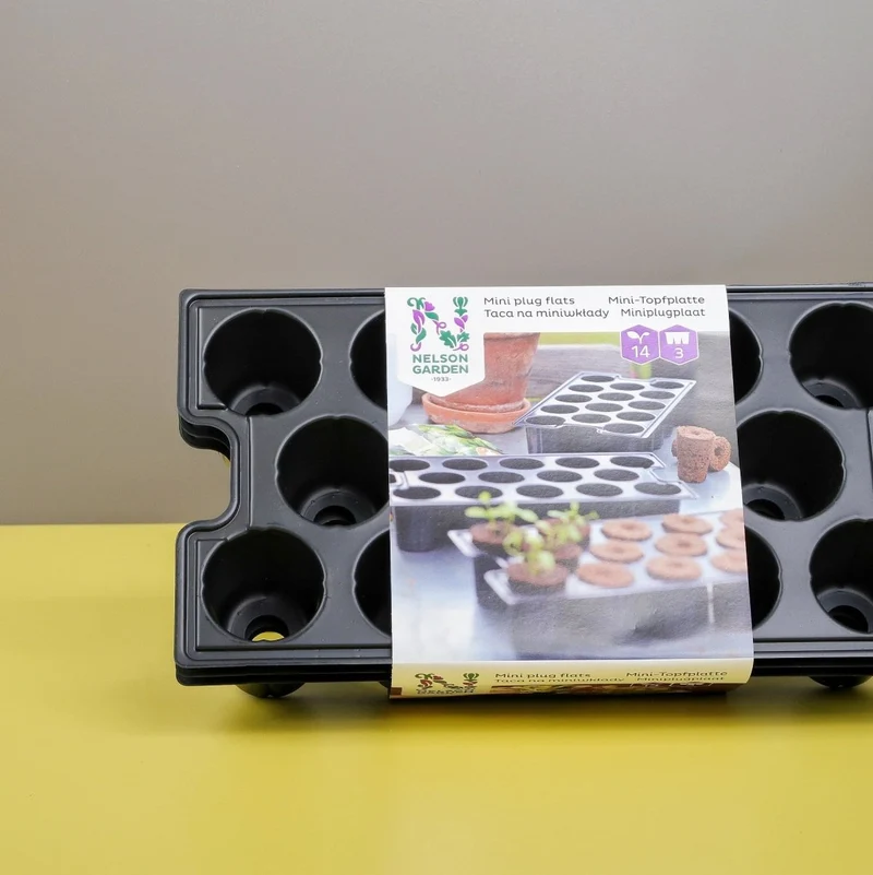 TOPFPLATTE - NELSONGARDEN MINI