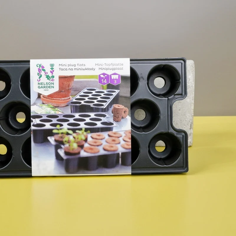TOPFPLATTE - NELSONGARDEN MINI