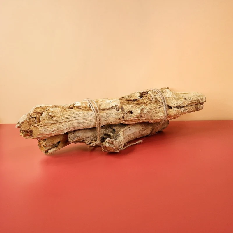 AIRPLANT HOLDER - ROOT LEVANGER