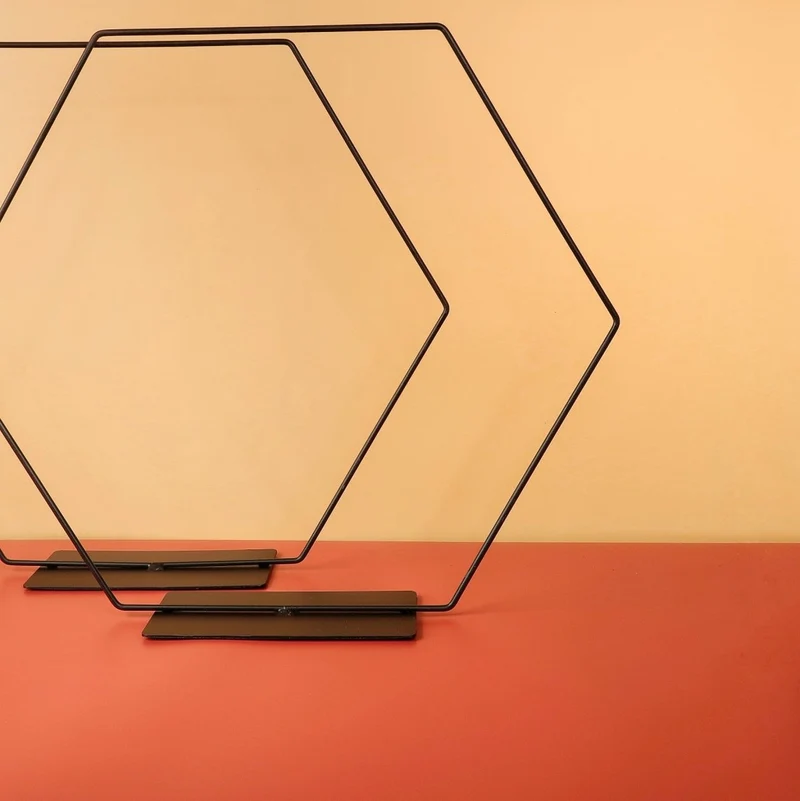 AIRPLANT HOLDER - HEXAGON BLACK