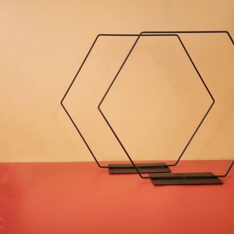 AIRPLANT HOLDER - HEXAGON BLACK