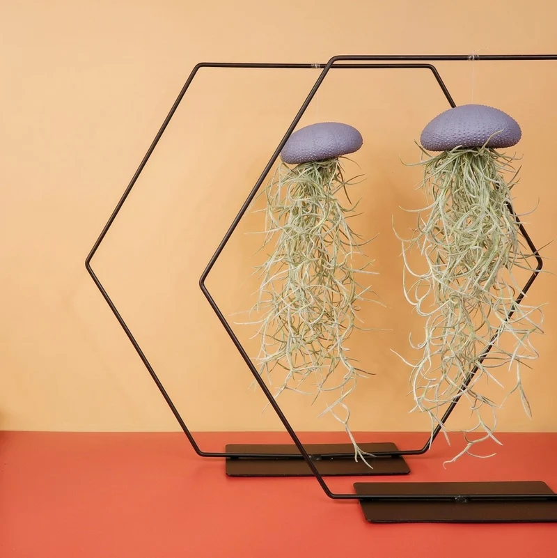 AIRPLANT HOLDER - HEXAGON BLACK