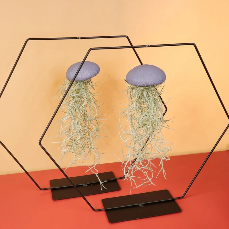 AIRPLANT HOLDER - HEXAGON BLACK