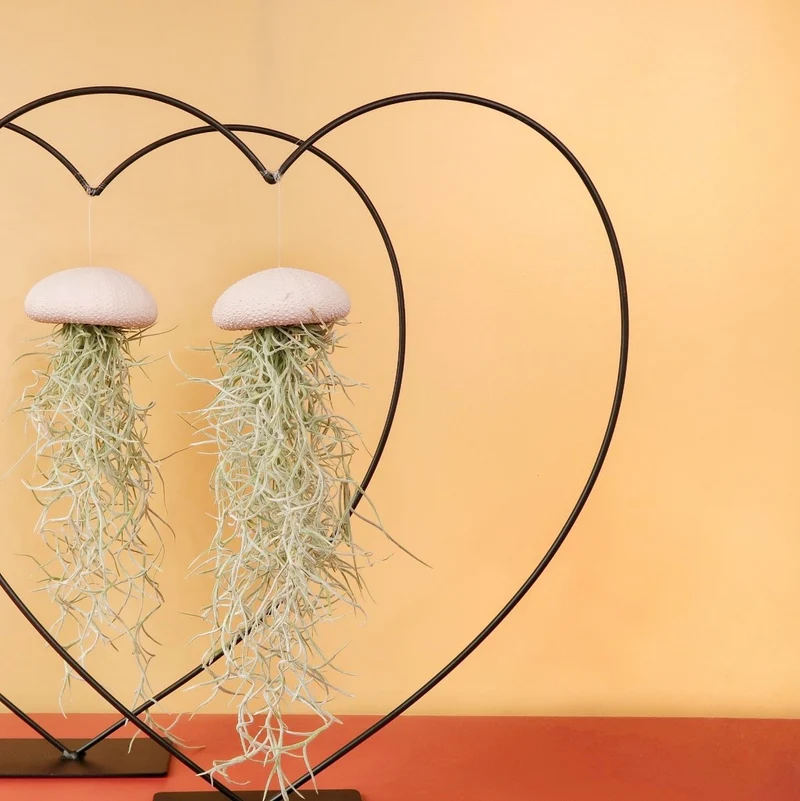 AIRPLANT HOLDER - HEART BLACK
