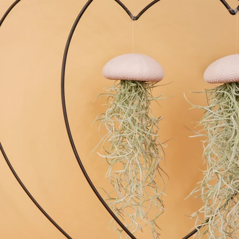 AIRPLANT HOLDER - HEART BLACK