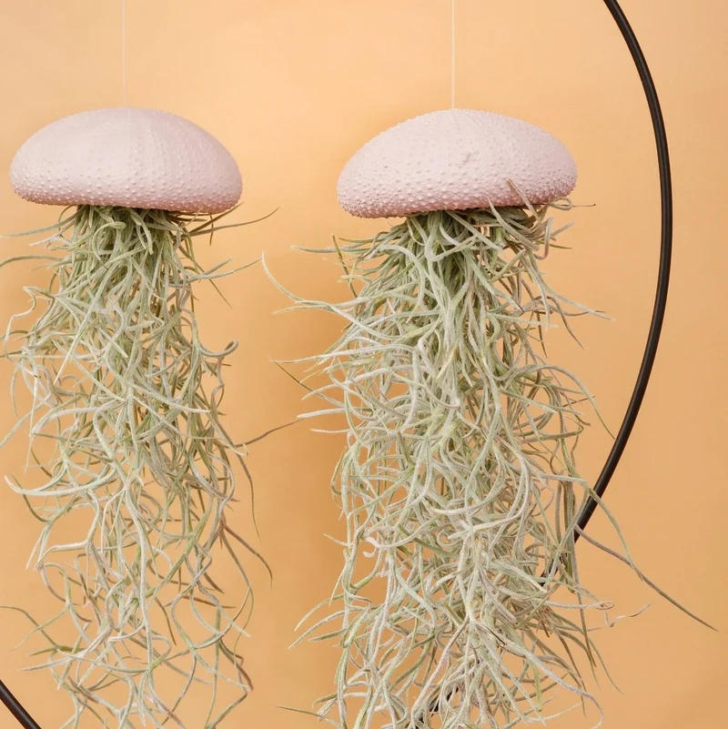 AIRPLANT HOLDER - HEART BLACK