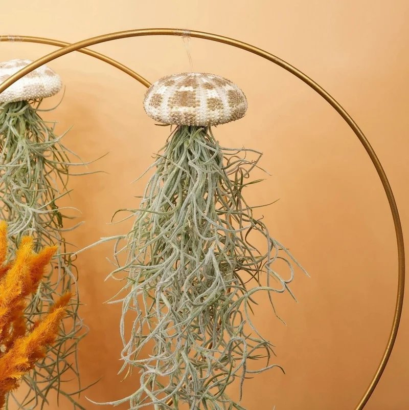 AIRPLANT HOLDER - RING GOLD