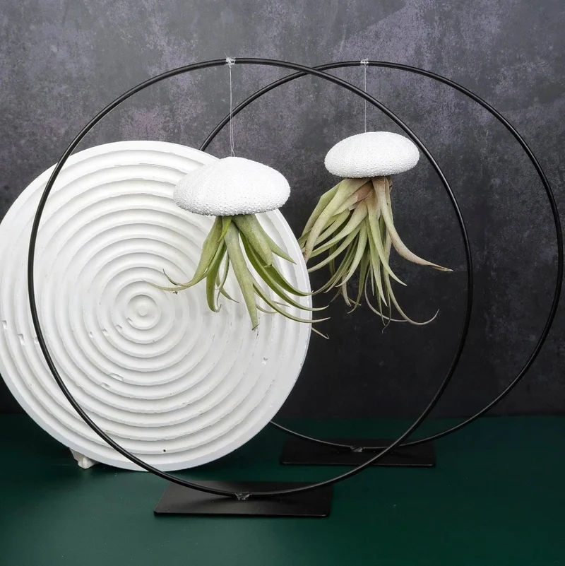 AIRPLANT HOLDER - RING BLACK