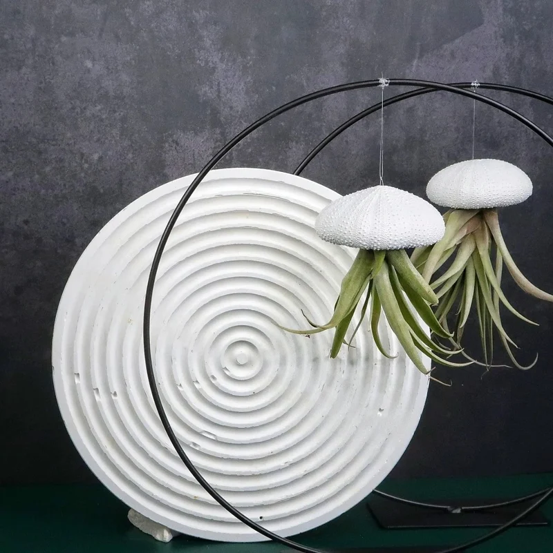 AIRPLANT HOLDER - RING BLACK