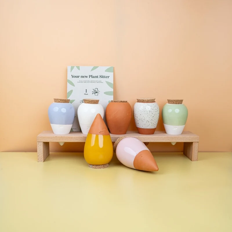 SELBSTBEWÄSSERUNG - PEPIN OLLA