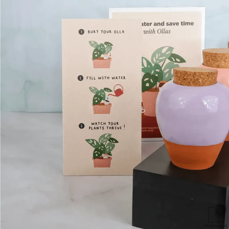 SELBSTBEWÄSSERUNG - PEPIN OLLA