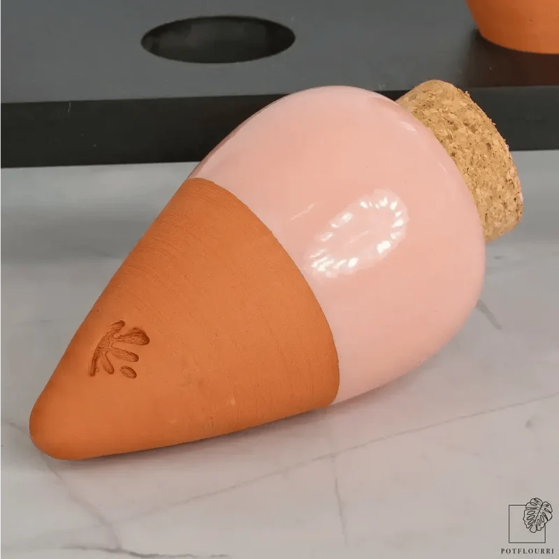 SELBSTBEWÄSSERUNG - PEPIN OLLA