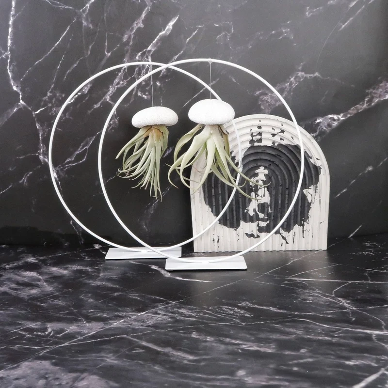 AIRPLANT HOLDER - RING WHITE