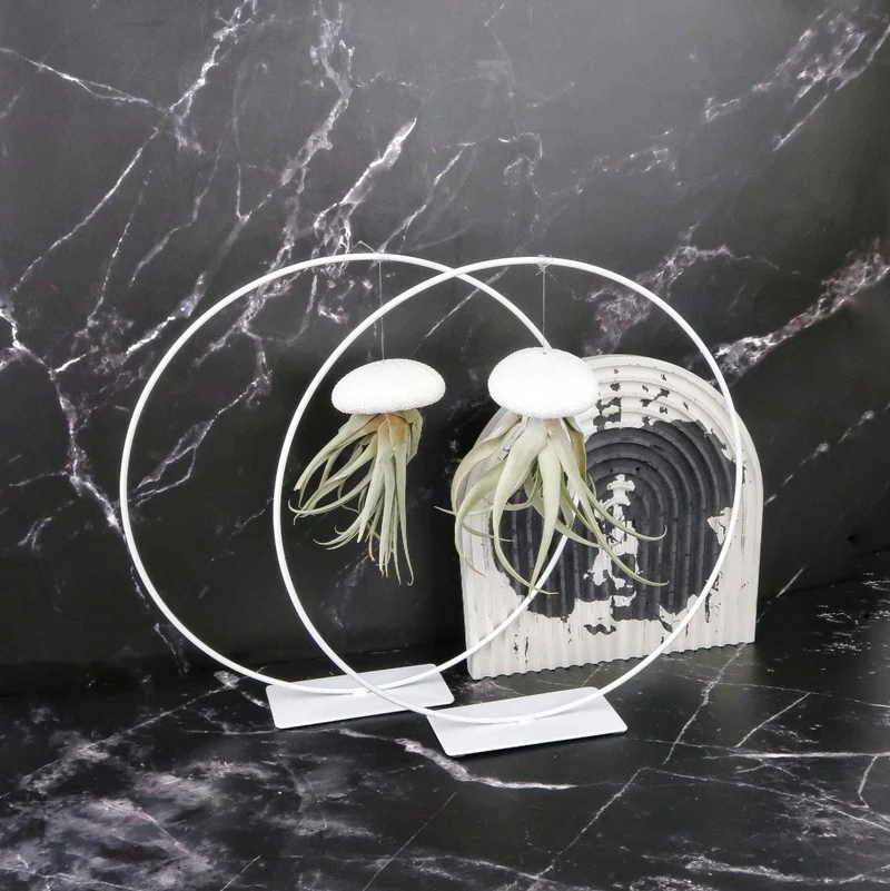 AIRPLANT HOLDER - RING WHITE