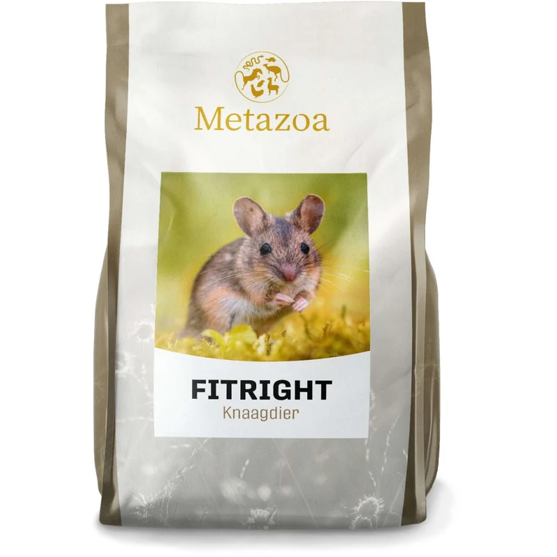 Metazoa Nagetier Brocken Basis