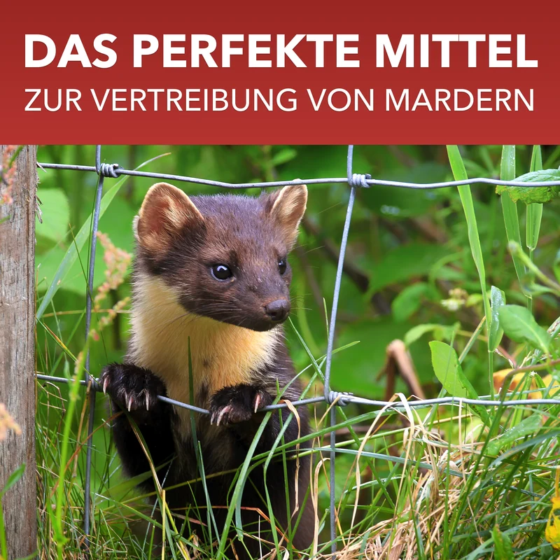 Marder-Spray