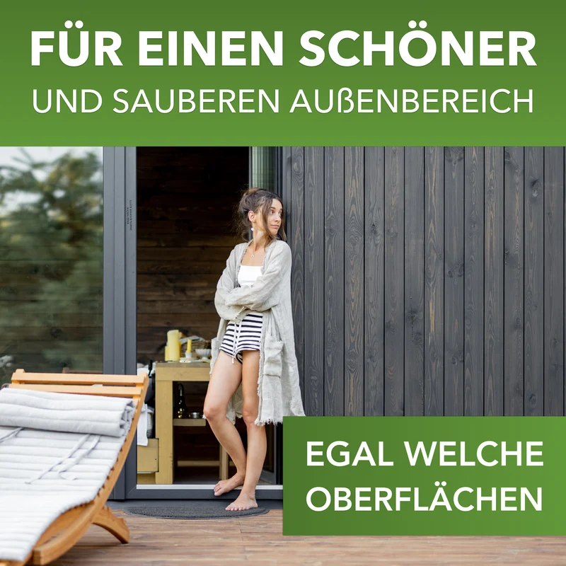 Grünbelagentferner