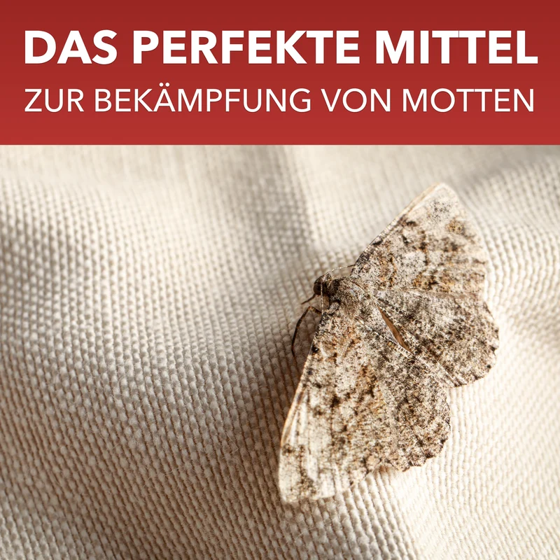 Motten-Spray