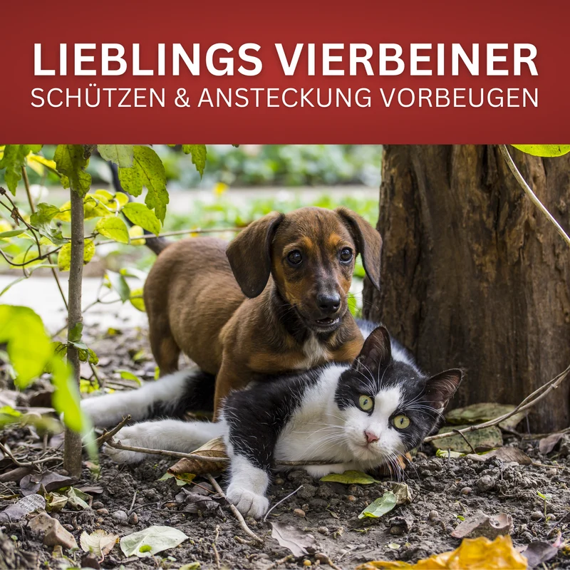 Giardien Spray und Wischkonzentrat