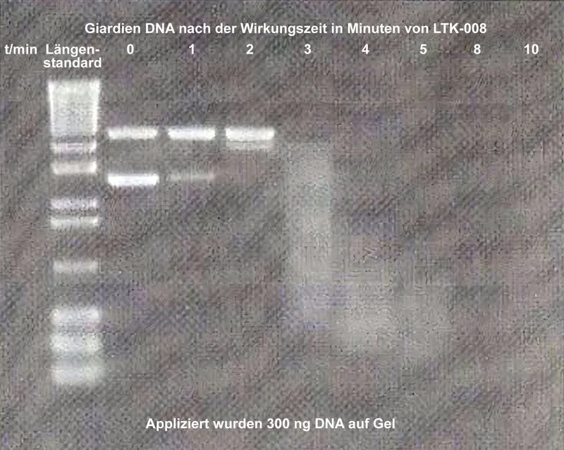 Giardien Spray und Wischkonzentrat