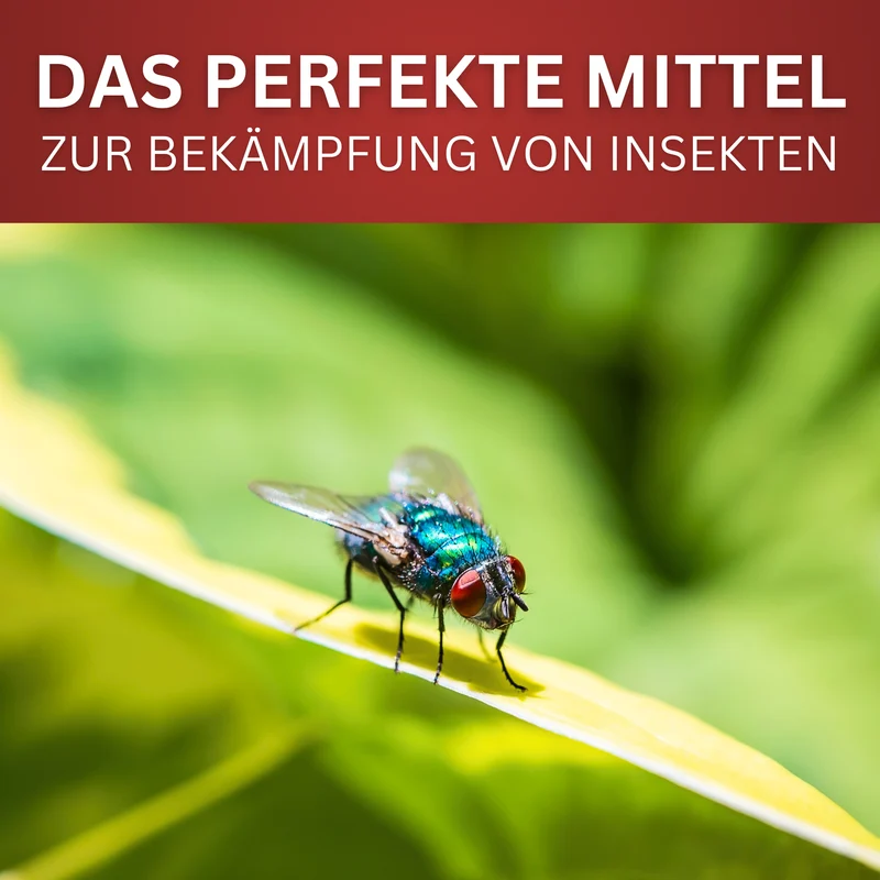 Insekten-Spray 2026