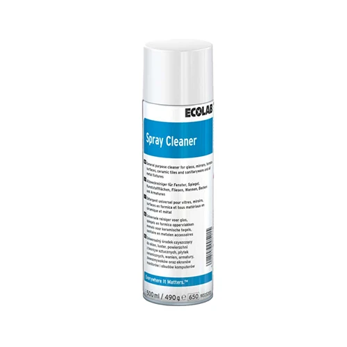 Detergente universale in schiuma spray a base ammoniacale Ecolab Spray Cleaner 12x500 ml DISPONIBILE IN 7 GIORNI LAVORATIVI