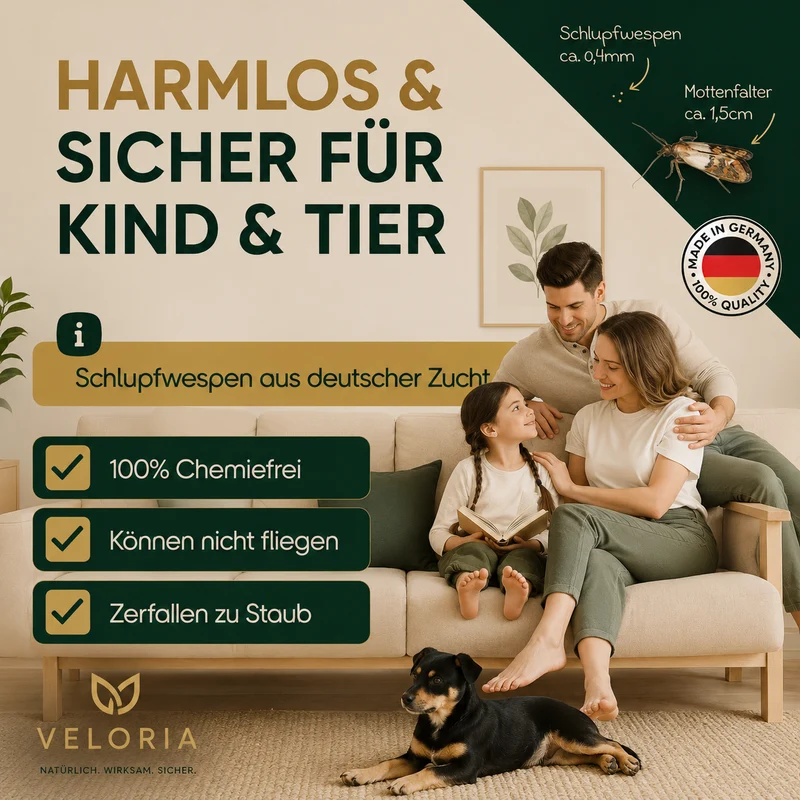 VELORIA Schlupfwespen gegen Lebensmittelmotten