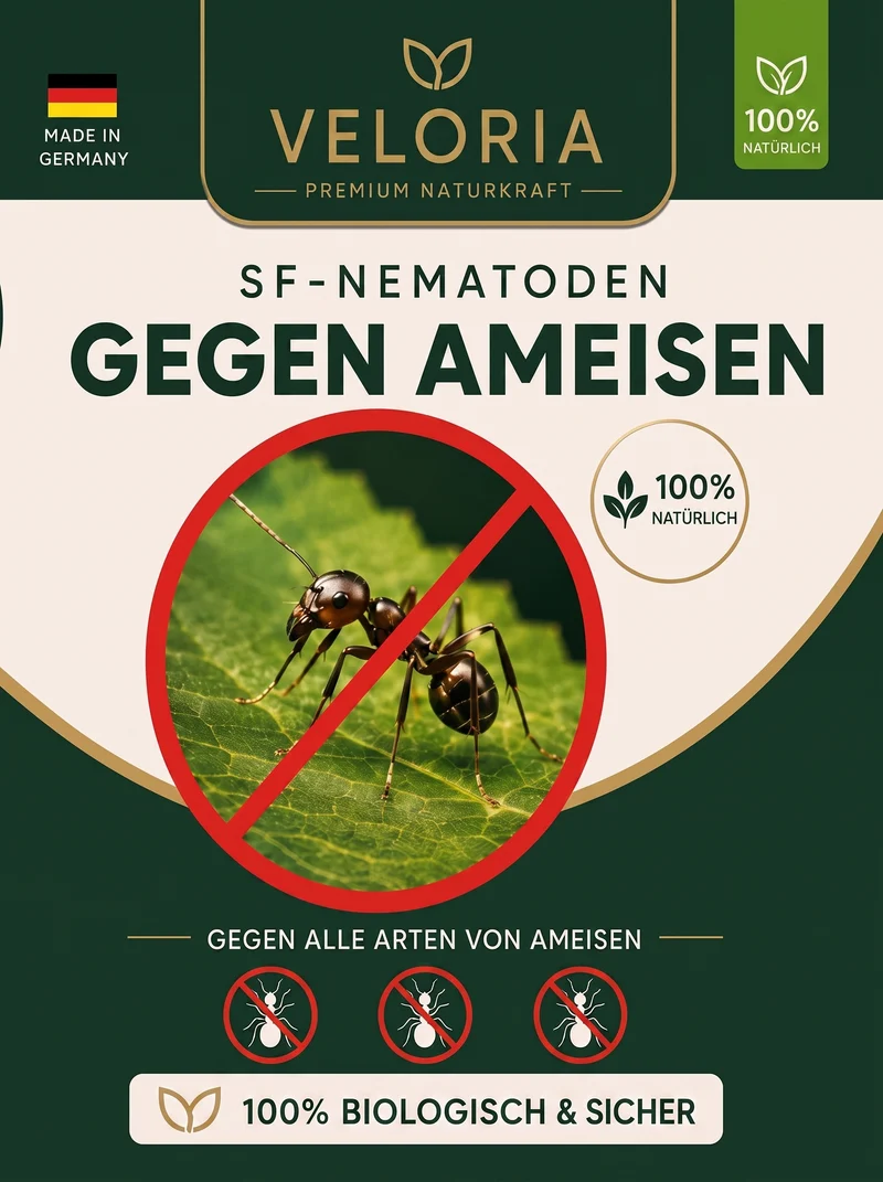 VELORIA SF-Nematoden gegen Ameisen